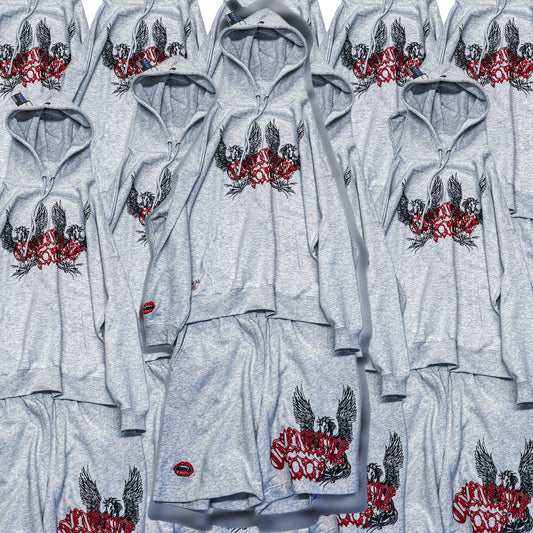 Pegasus Set up / ONENINE