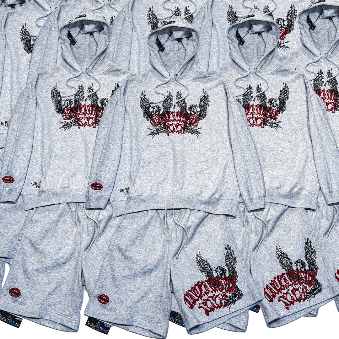 Pegasus Set up / ONENINE