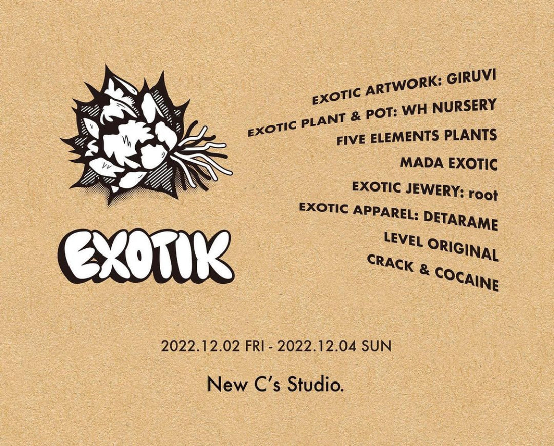 "EXOTIK "POP UP SHINJUKU 22/12/3 ~ 22/12/4 at New C's Studio